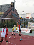 IMG 7515